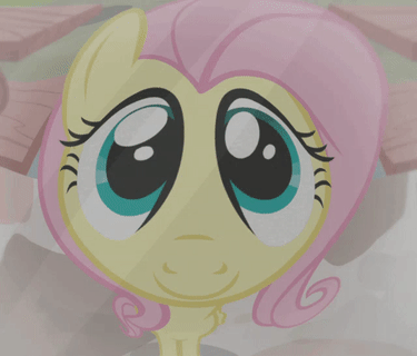 fluttershy